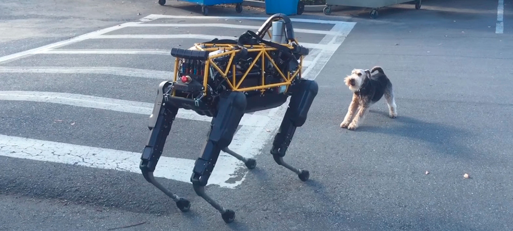 perro--robot-spot