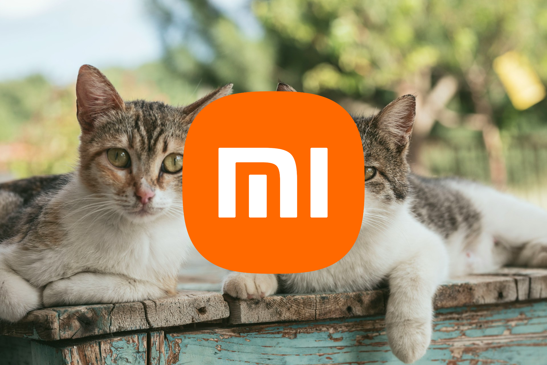 arenero-autolimpiable-xiaomi:-innovacion-tecnologica-para-el-cuidado-de-tu-mascota